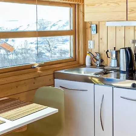 1 Bedroom In Hébergement de vacances Geilo