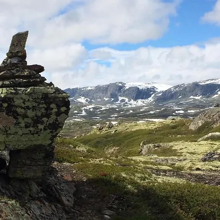 Gorgeous In With House A Mountain View Hébergement de vacances Geilo