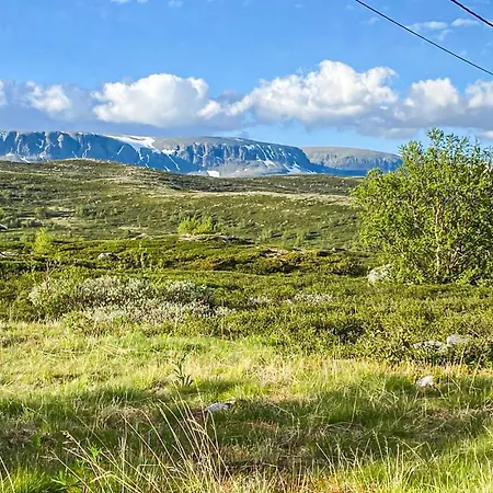 Hébergement de vacances 1 Bedroom In Geilo